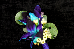 Blue-Orchid-Bout
