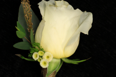 white-rose-bout