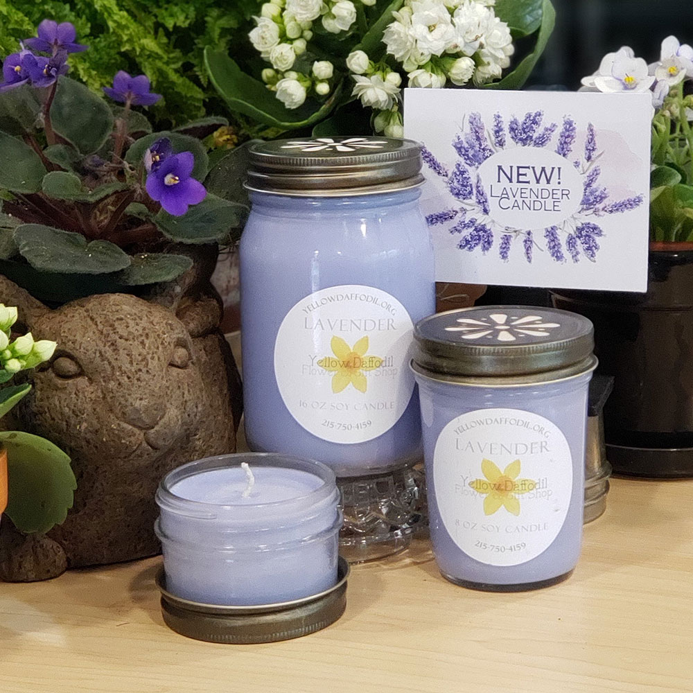 Hand-Poured Soy Candle: Lavender - Yellow Daffodil